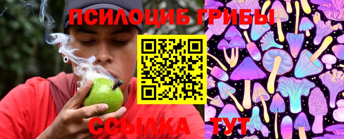 Всеволожск  Галлюциногенные грибы Magic Shrooms  Вход с VPN 